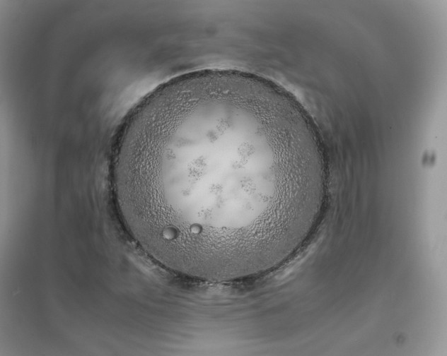 X0000094971263200711291455