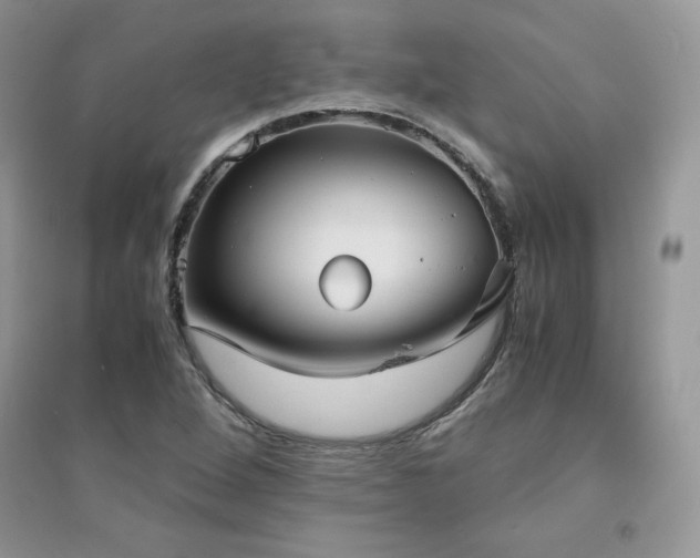 X0000094971264200711291455
