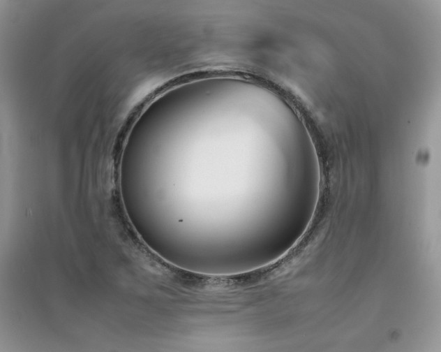 X0000094971267200711291455