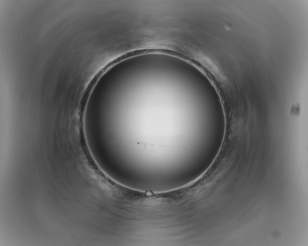 X0000094971268200711291455