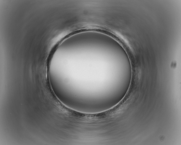 X0000094971269200711291455