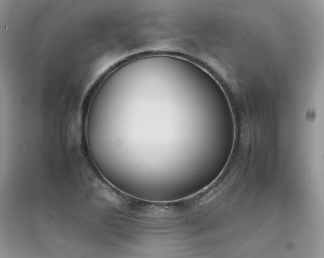 X0000094971270200711291455