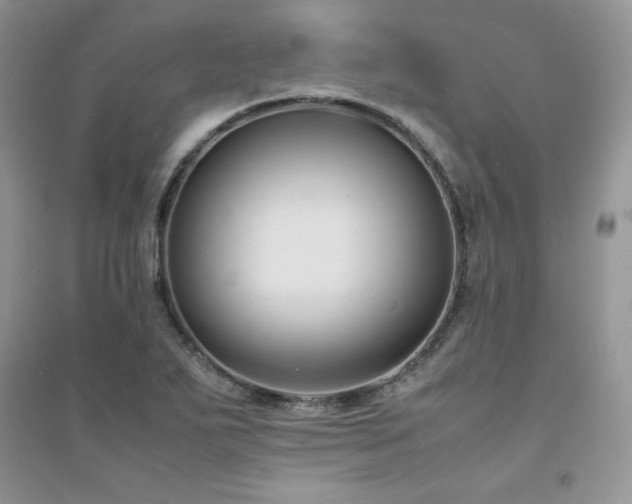 X0000094971271200711291455