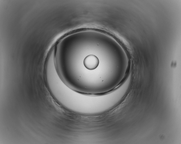 X0000094971272200711291455