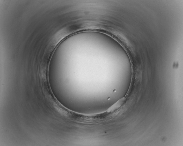 X0000094971273200711291455