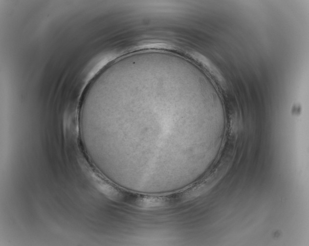 X0000094971274200711291455