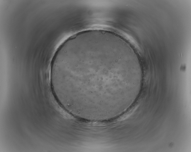 X0000094971275200711291455
