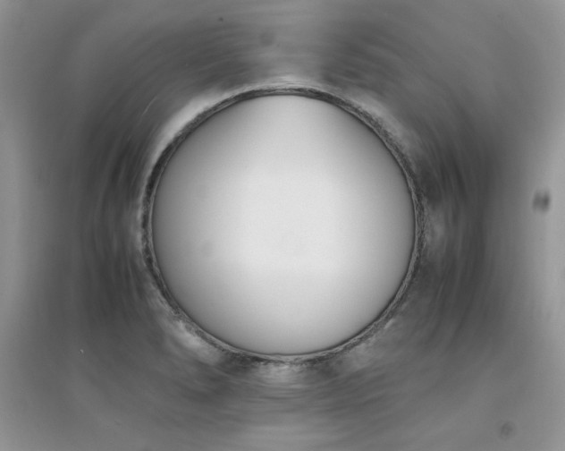 X0000094971278200711291455