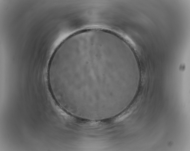 X0000094971279200711291455