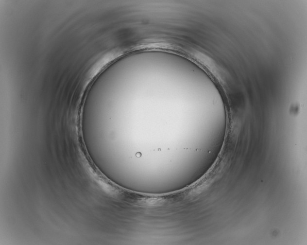 X0000094971282200711291455