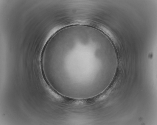 X0000094971283200711291455