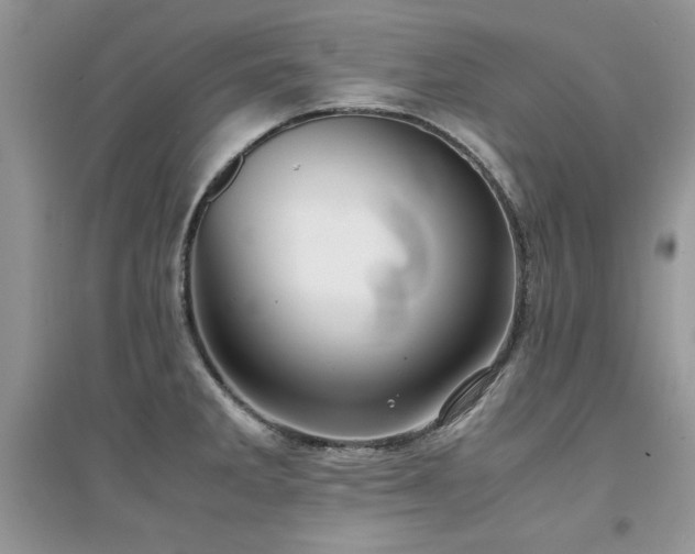 X0000094971285200711291455