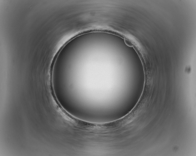 X0000094971287200711291455
