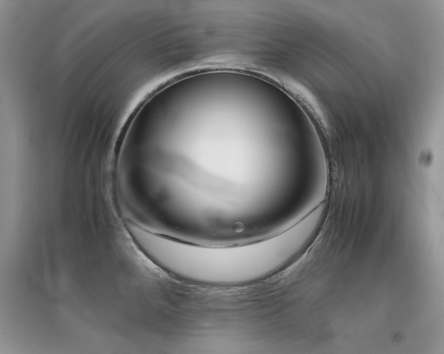 X0000094971288200711291455