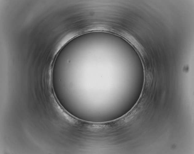 X0000094971290200711291455
