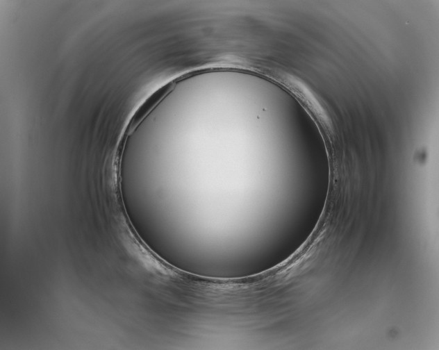 X0000094971292200711291455