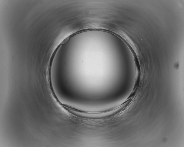 X0000094971293200711291455