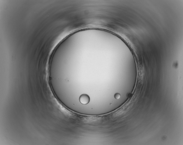 X0000094971294200711291455