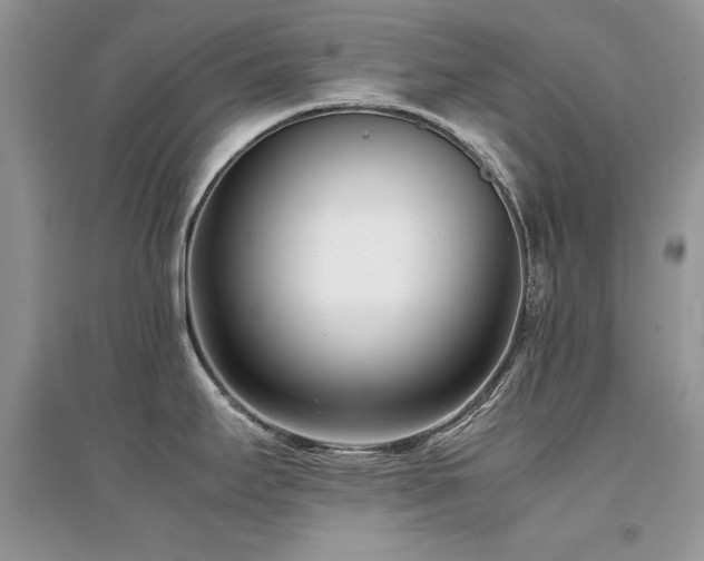 X0000094971295200711291455