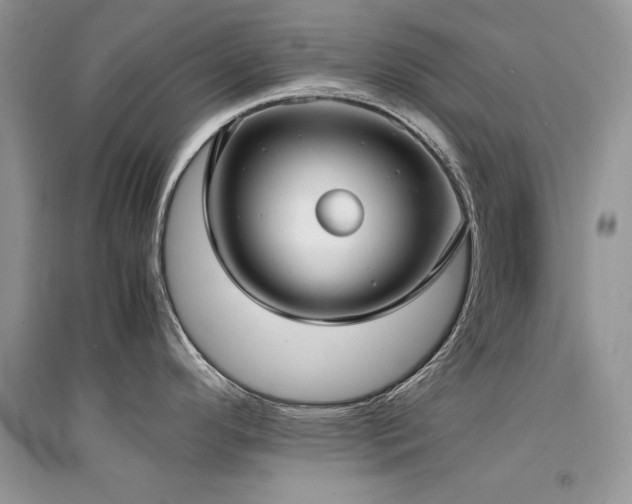 X0000094971296200711291455