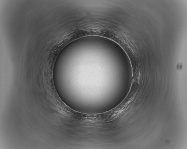 X0000094971297200711291454
