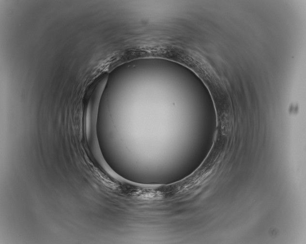 X0000094971298200711291454