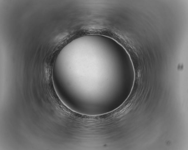 X0000094971300200711291454