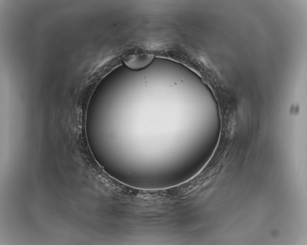 X0000094971301200711291454
