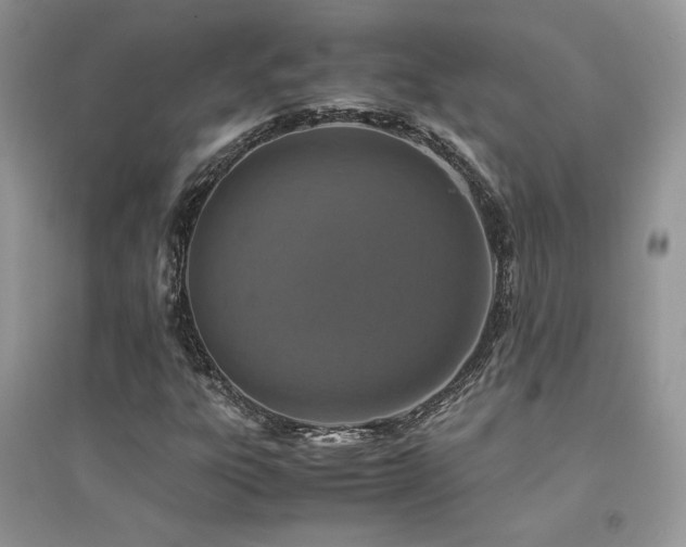 X0000094971303200711291454