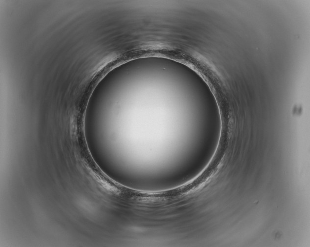 X0000094971305200711291454
