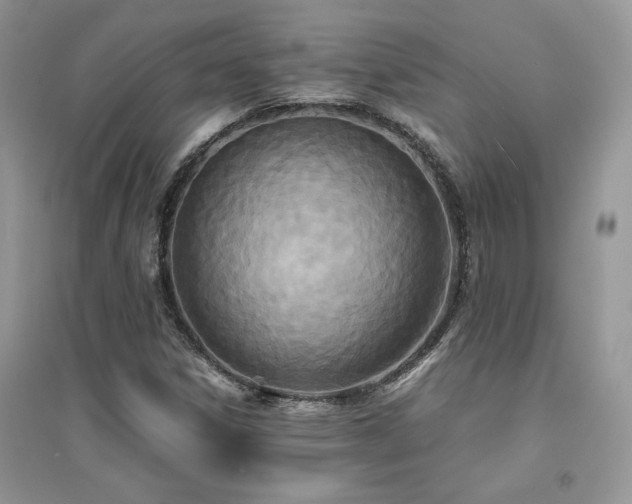 X0000094971306200711291454