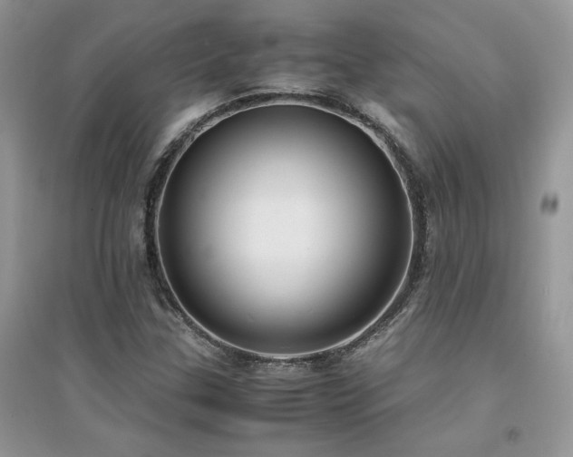 X0000094971307200711291454