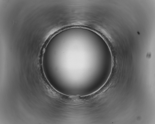 X0000094971308200711291454