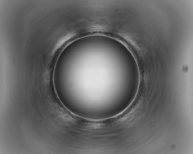 X0000094971309200711291454