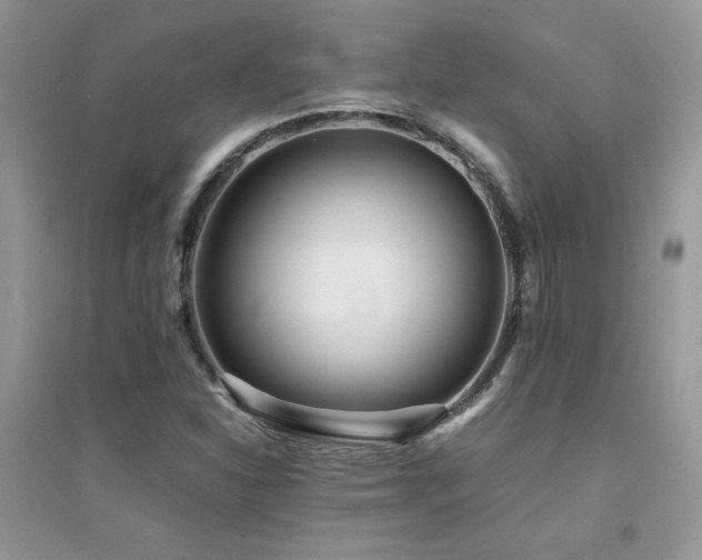 X0000094971310200711291454