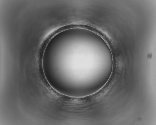 X0000094971311200711291454