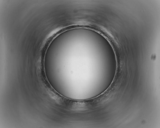 X0000094971315200711291454