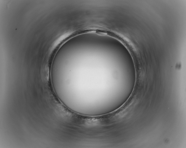X0000094971317200711291454