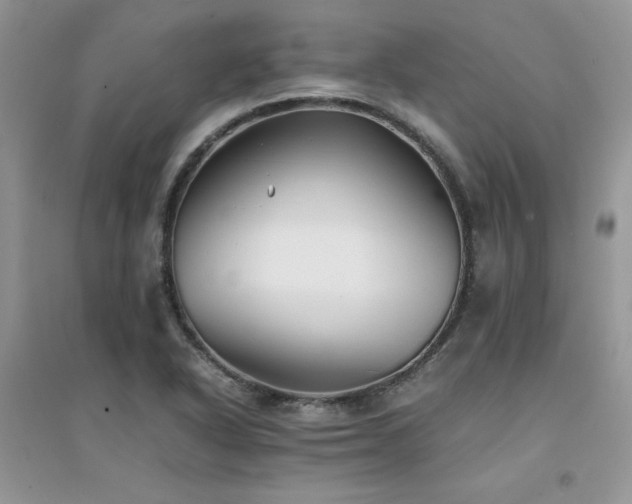 X0000094971318200711291454