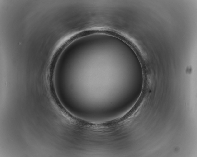 X0000094971319200711291454