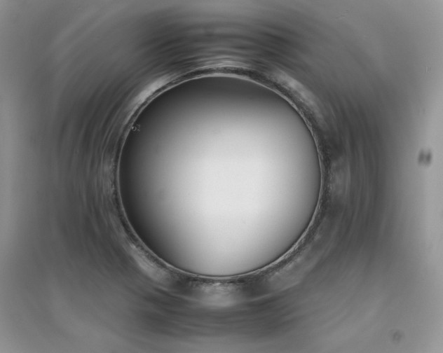 X0000094971321200711291454