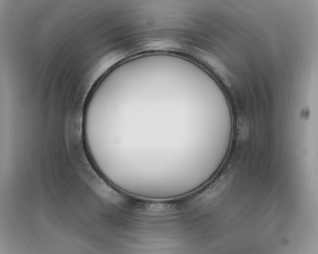 X0000094971322200711291454