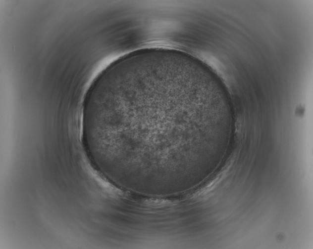X0000094971323200711291454