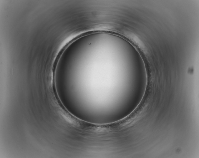 X0000094971324200711291454