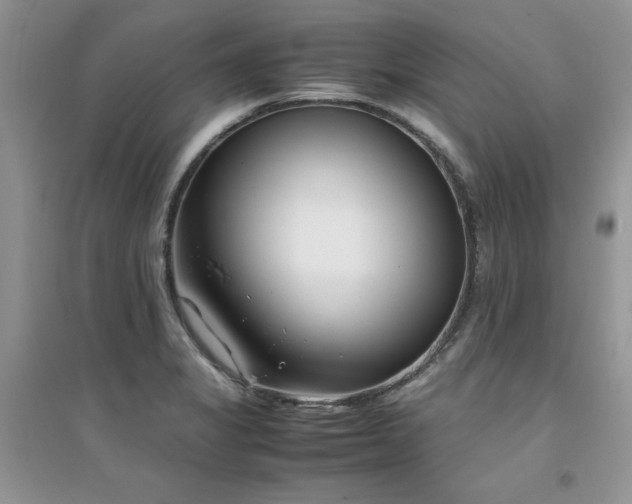 X0000094971325200711291454