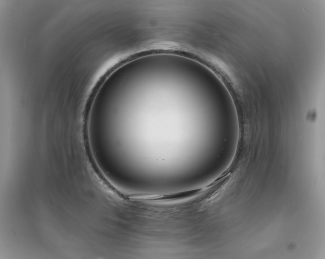 X0000094971326200711291454
