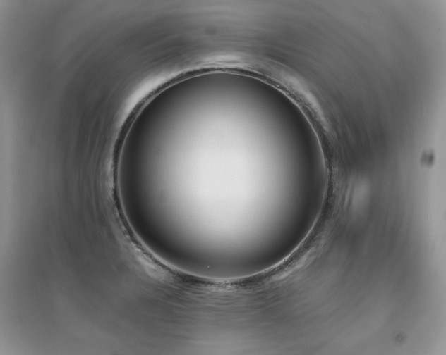 X0000094971328200711291454
