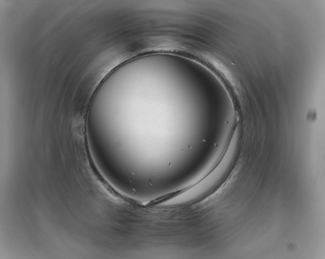 X0000094971329200711291454