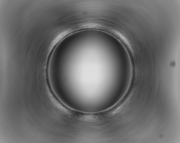X0000094971330200711291454