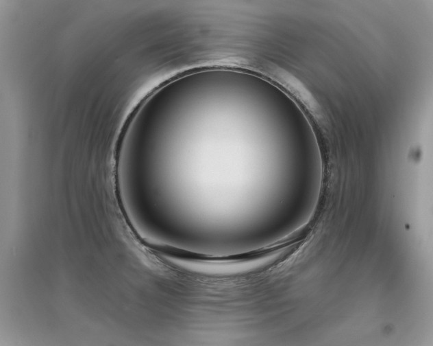 X0000094971332200711291454
